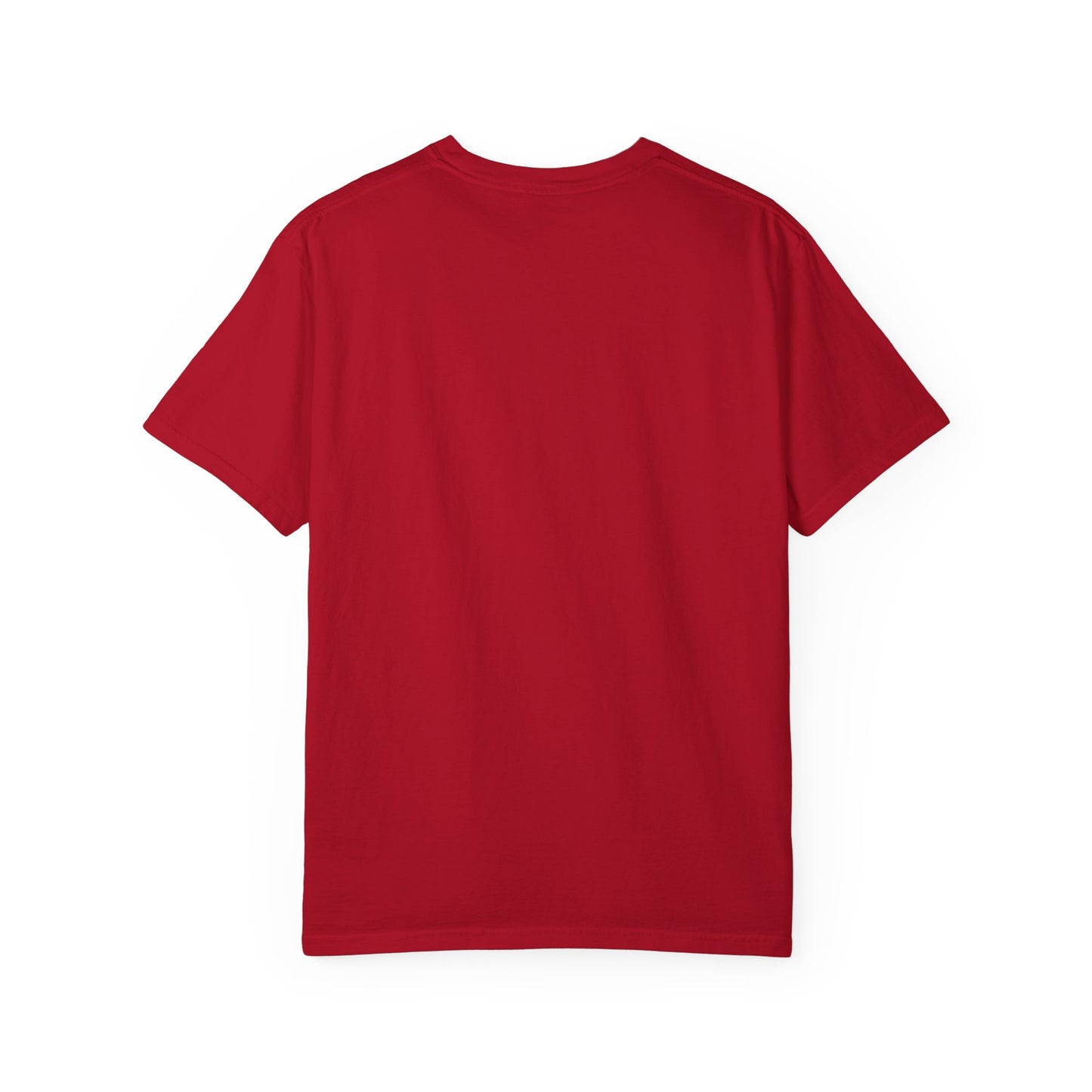 Stitch-Inspired Unisex Garment-Dyed T-Shirt, Cute Cartoon Tee, , Gift for Fans, Streetwear Style